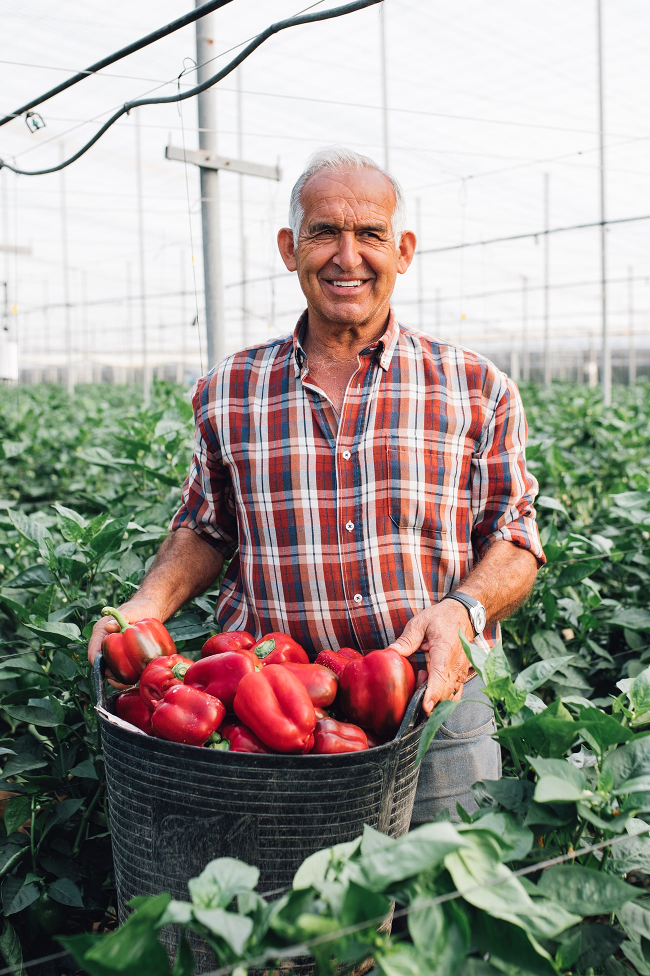 fotografía para empresas