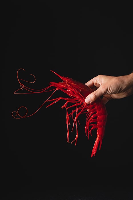 fotografia-claroscuro-carabinero