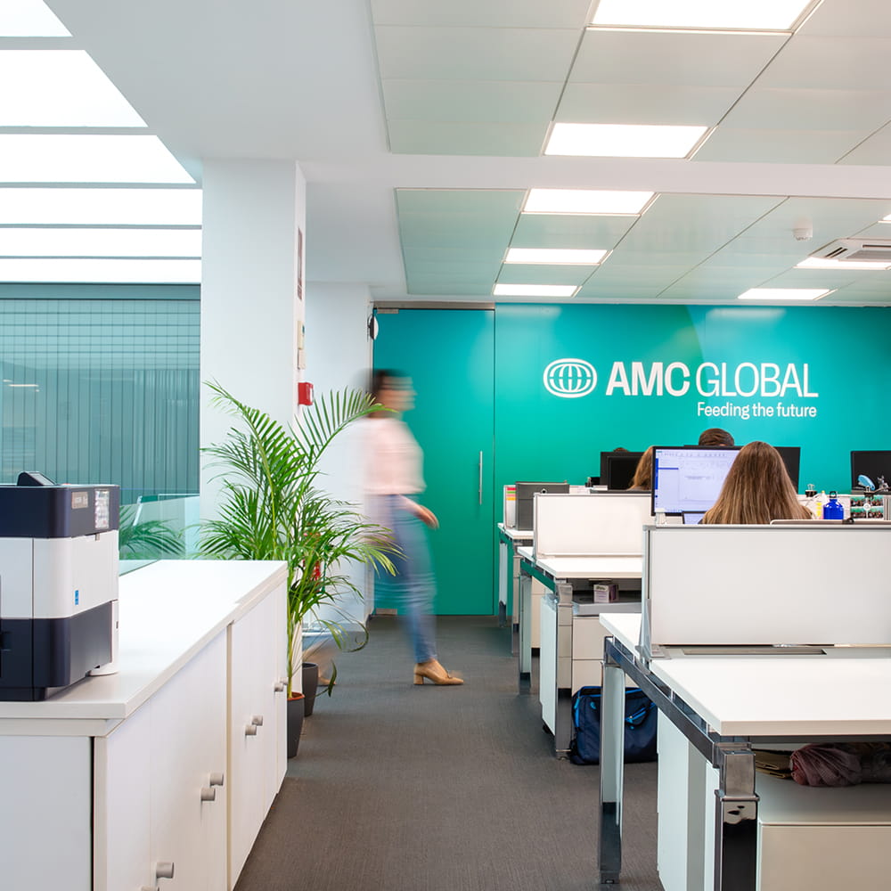 Oficinas de AMC Global con equipo trabajando en puestos de trabajo durante un reportaje corporativo