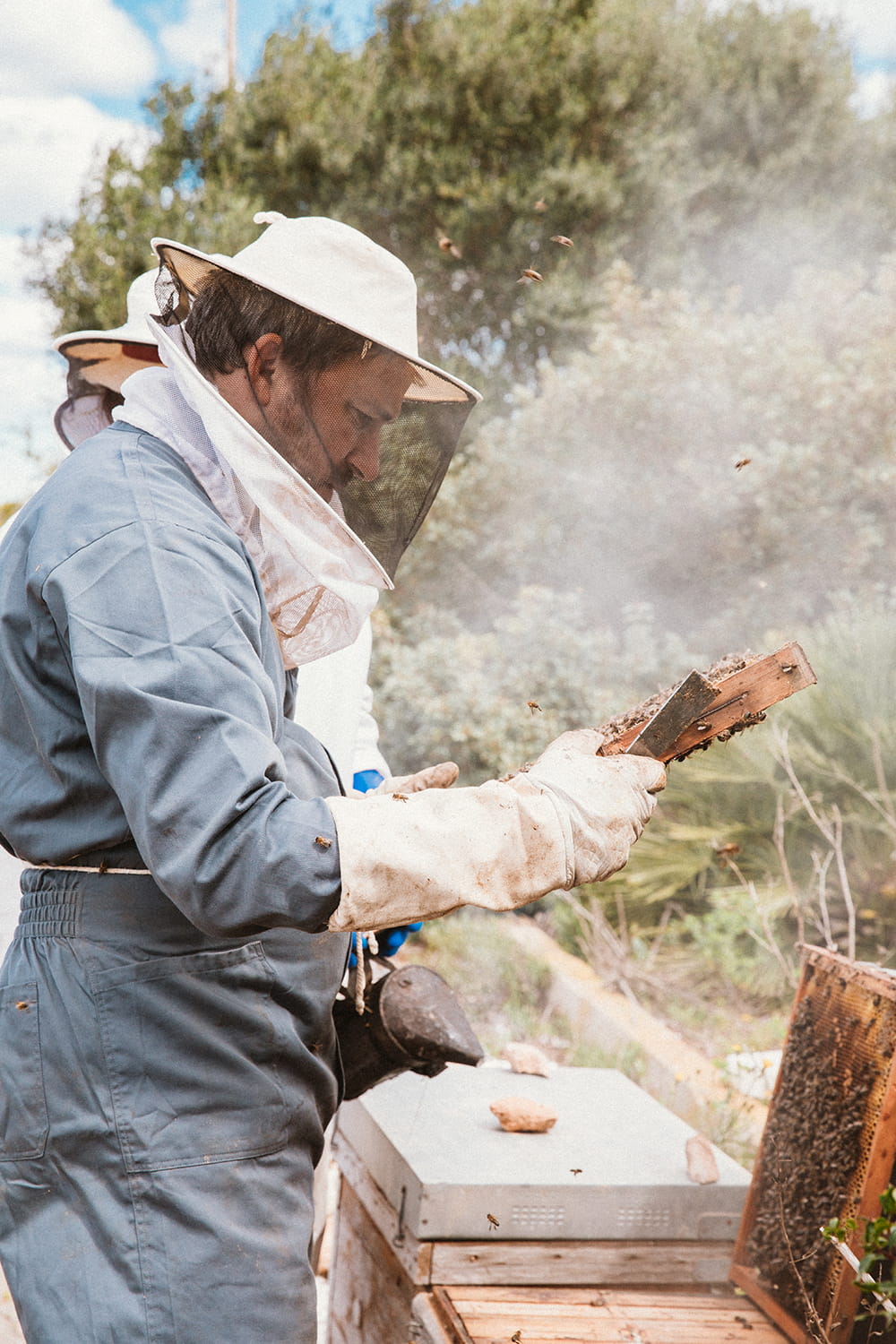 Apicultor inspeccionando cuadro con abejas y humo durante manejo de colmena en proceso de apicultura artesanal