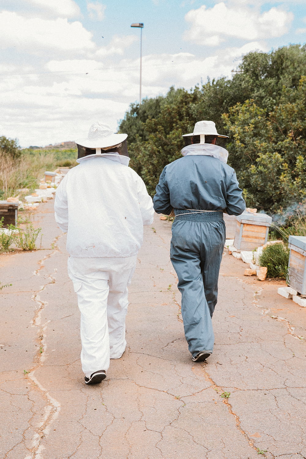 Apicultores caminando entre colmenas en entorno rural durante jornada de trabajo en apicultura artesanal