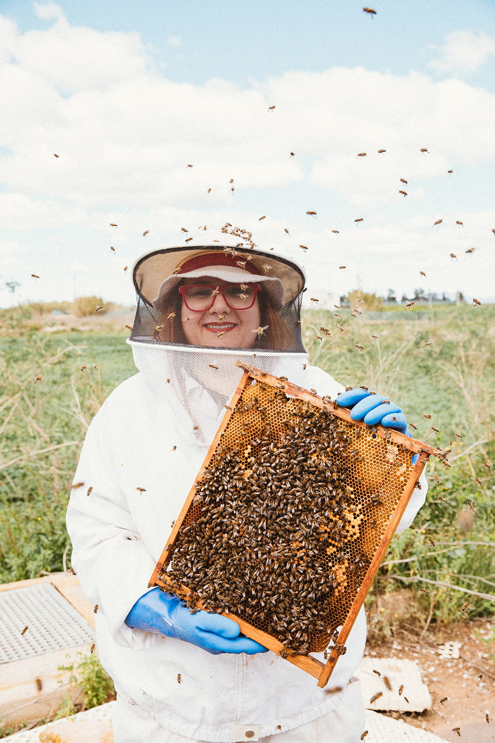 apicultora con traje de protección sosteniendo un panal lleno de abejas en un colmenar del campo de Cartagena