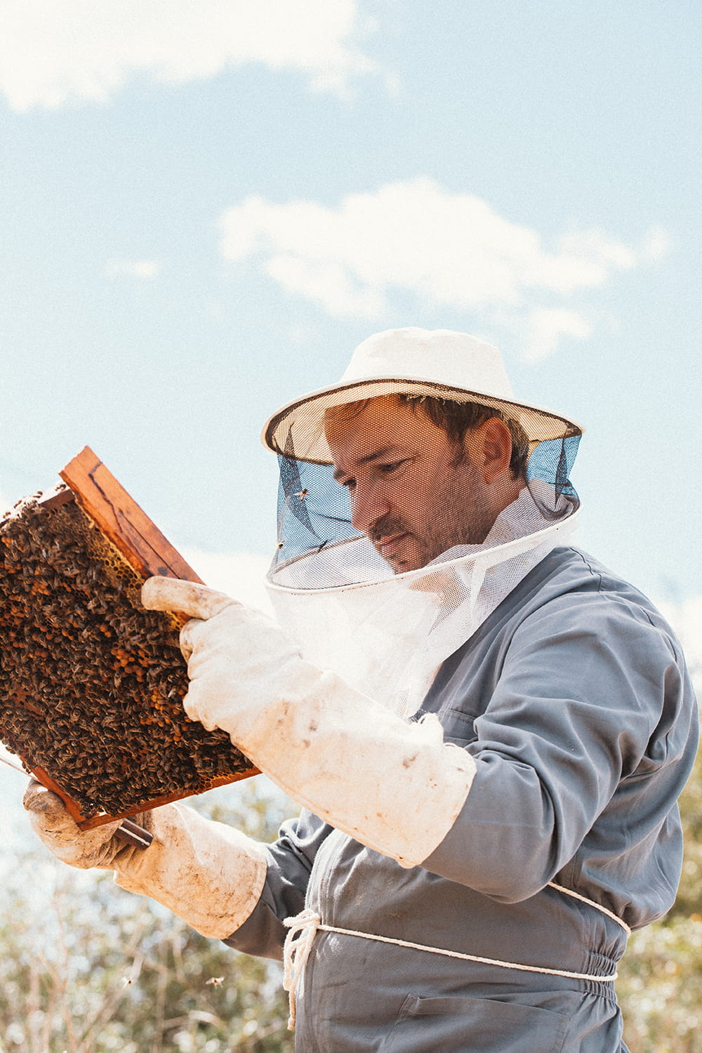 Ginés Abel Alvarado Ramírez, sosteniendo un cuadro de un panal de abejas